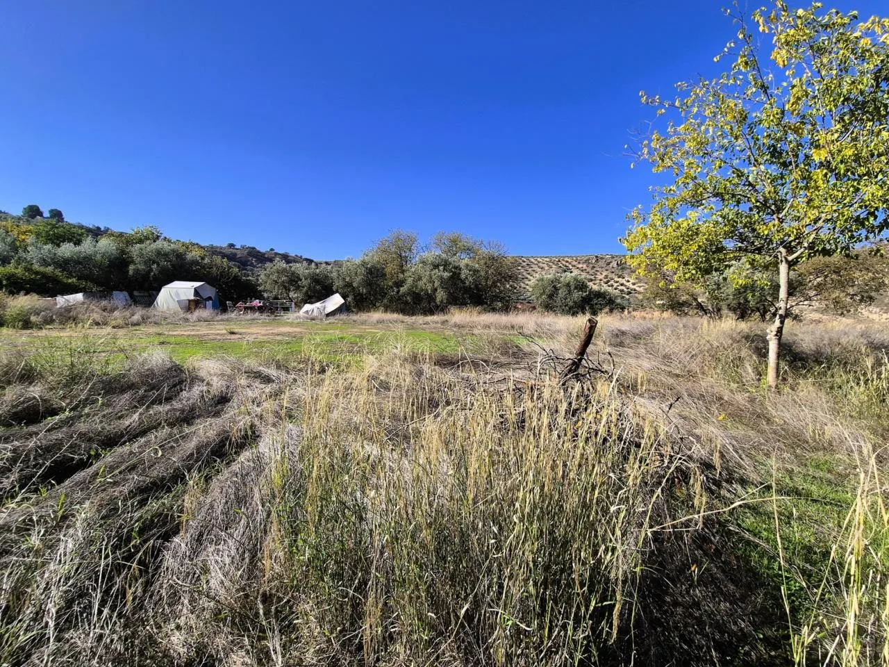 Repräsentatives 3.000 m² Naturgrundstück in Loja mit Wasserdepot