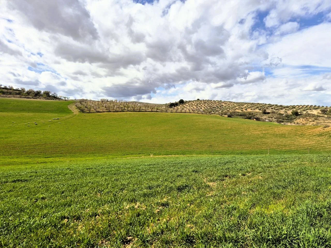 Exklusives Agrar-Investment: 226 ha Finca mit reichem Wasservorkommen