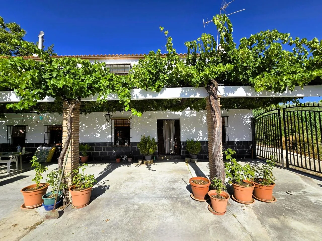 Exklusive Finca mit Pool und 7.000 m² Naturgrundstück in Salar