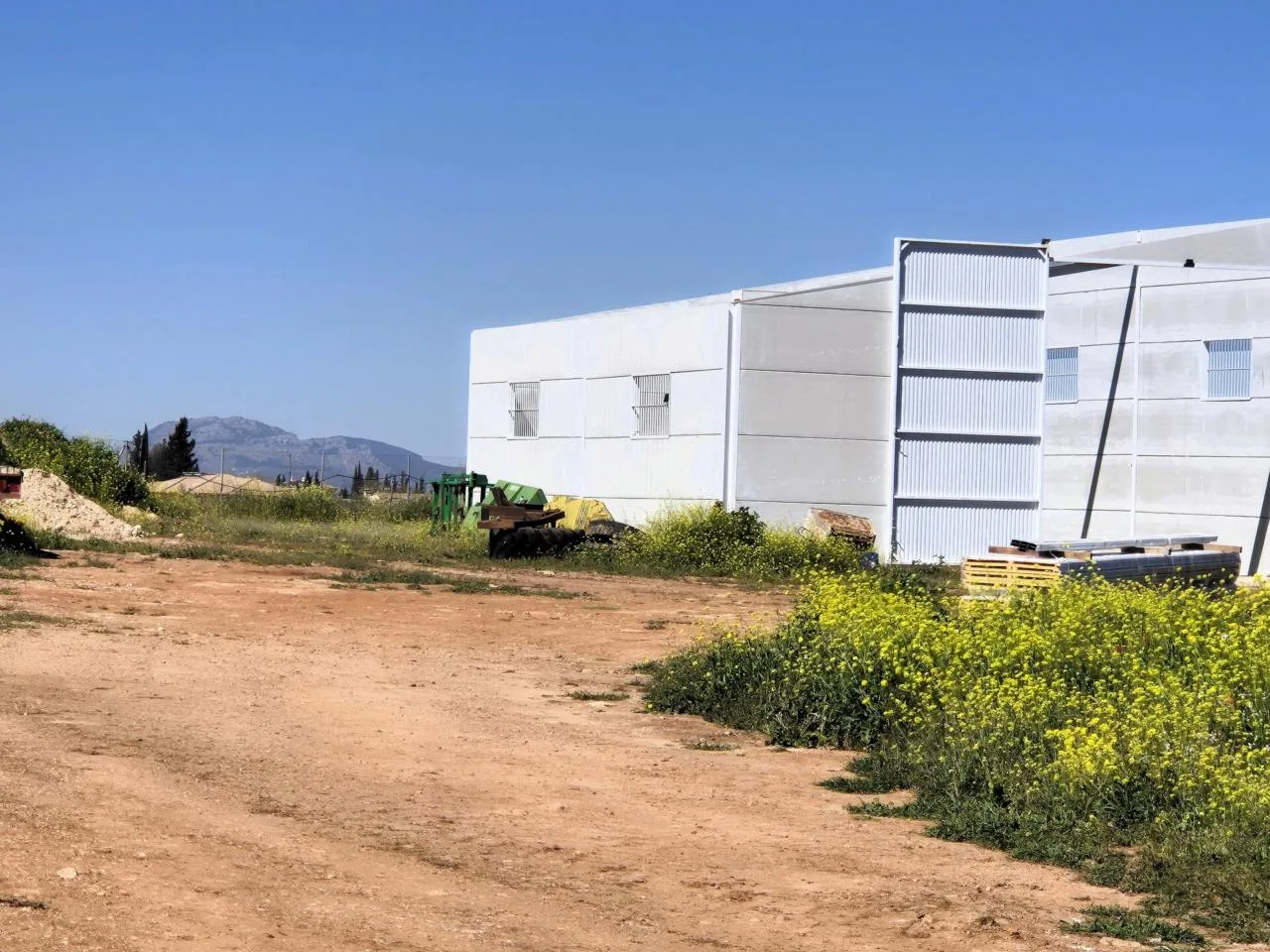 Premium-Agrarinvestment: Große Oliven- & Mandel-Finca bei Granada