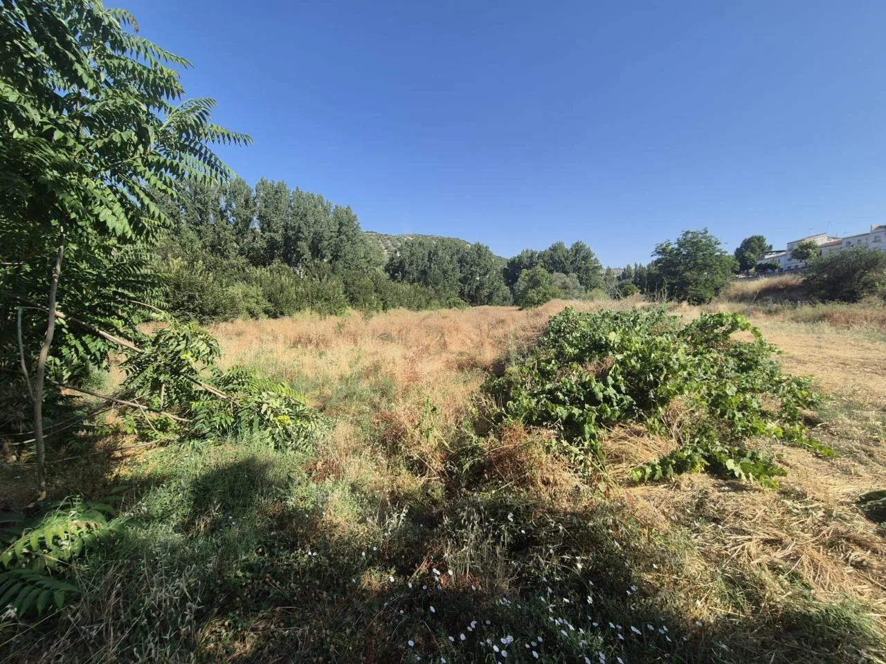 Exklusives 8.000 m² Naturgrundstück in Algarinejo – Ruhe & Potenzial