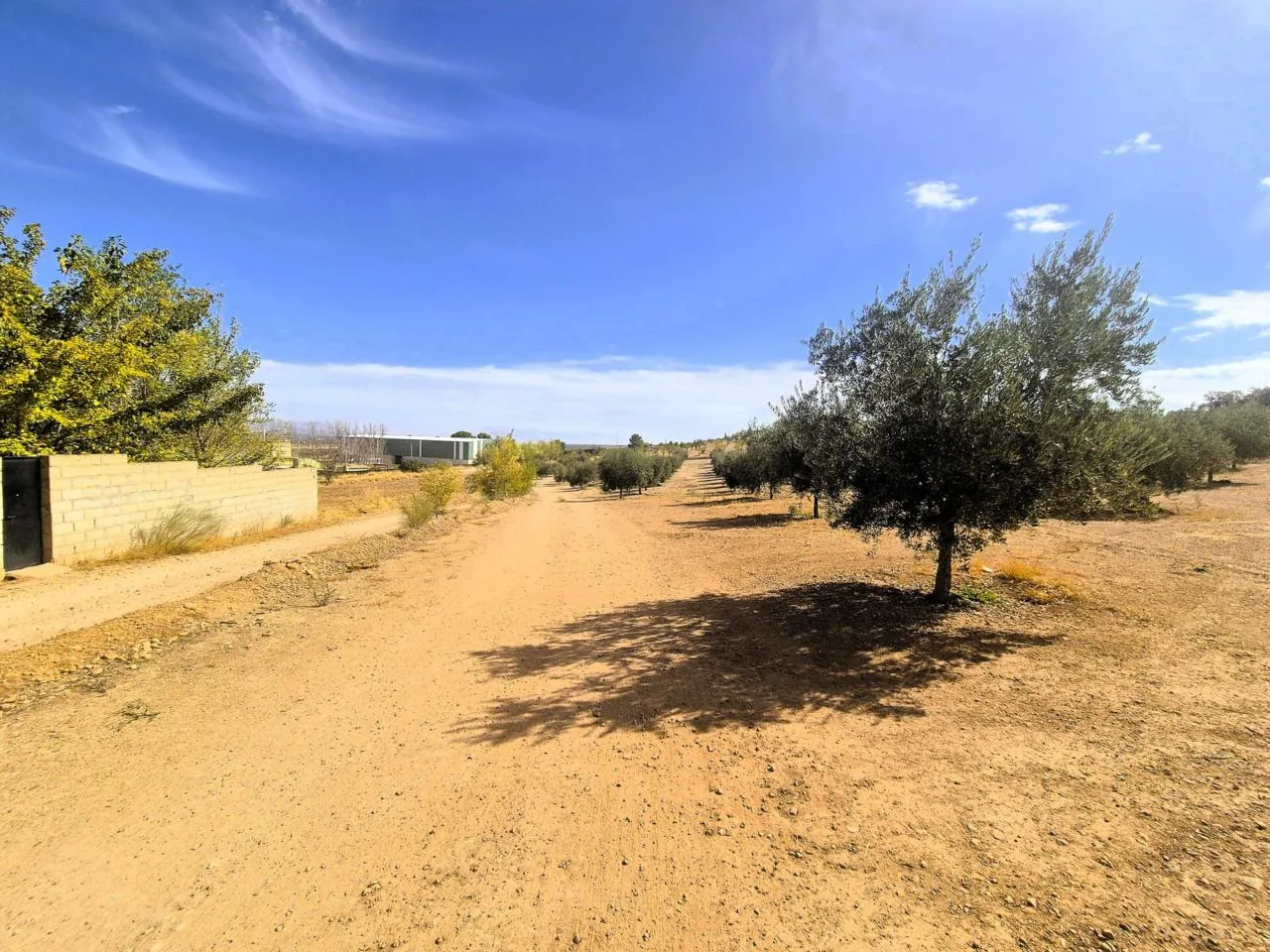 Exklusives Olivengut mit gesicherter Bewässerung in Granada