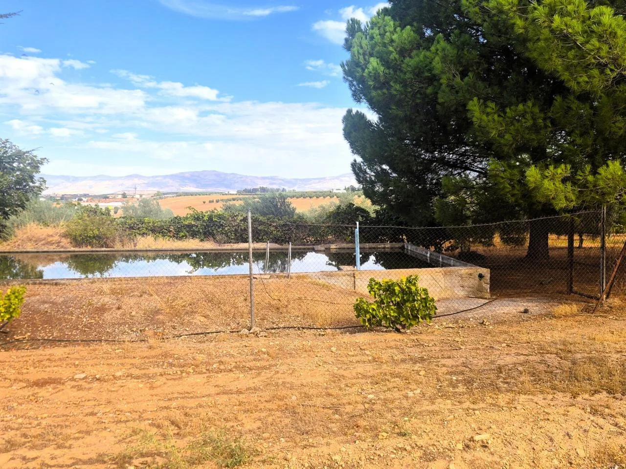 Erstklassige Agrar-Finca mit gesicherter Bewässerung bei Granada