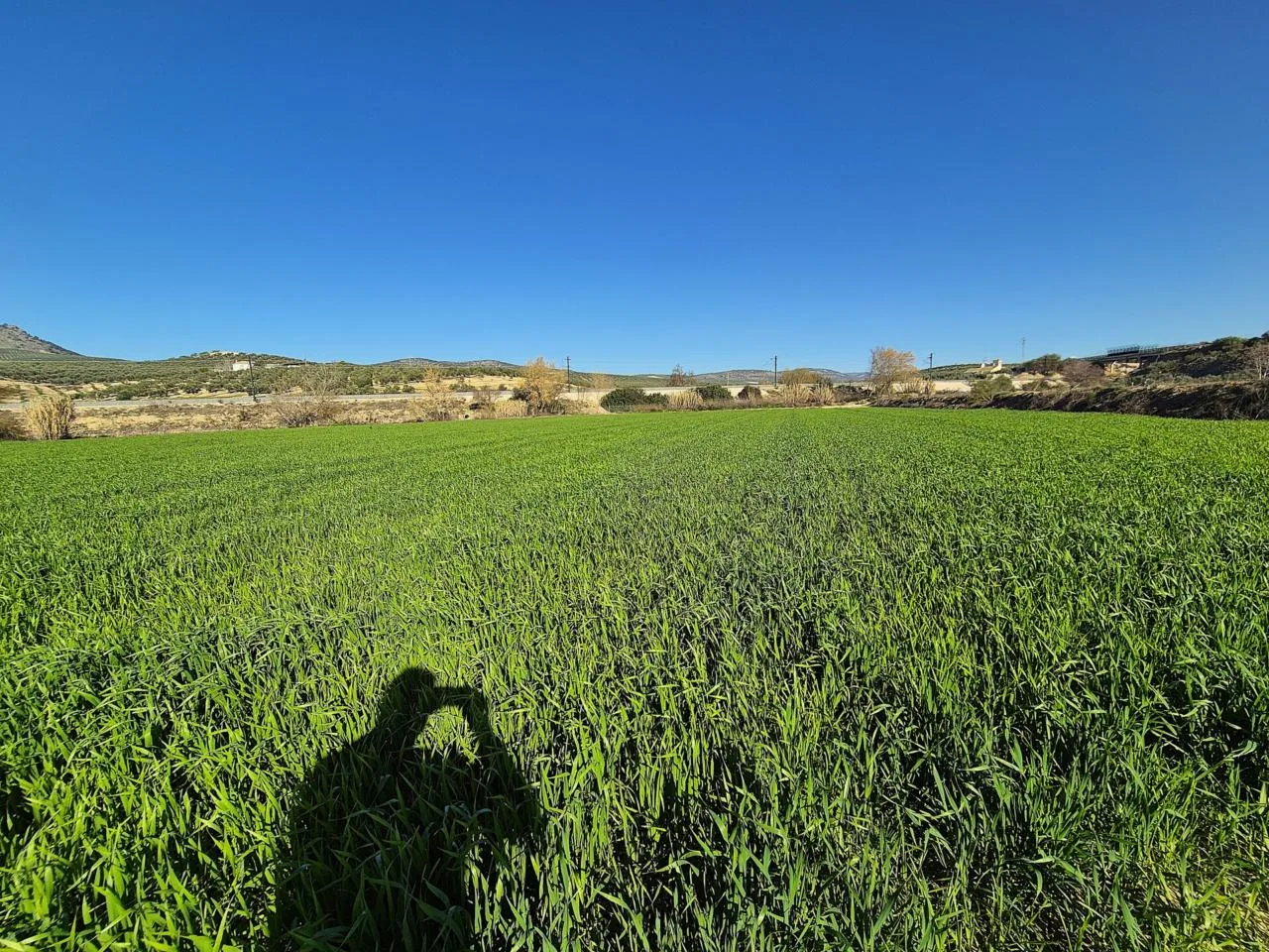 Premium-Agrarland in Granada: 25.954 m² mit sicheren Wasserrechten