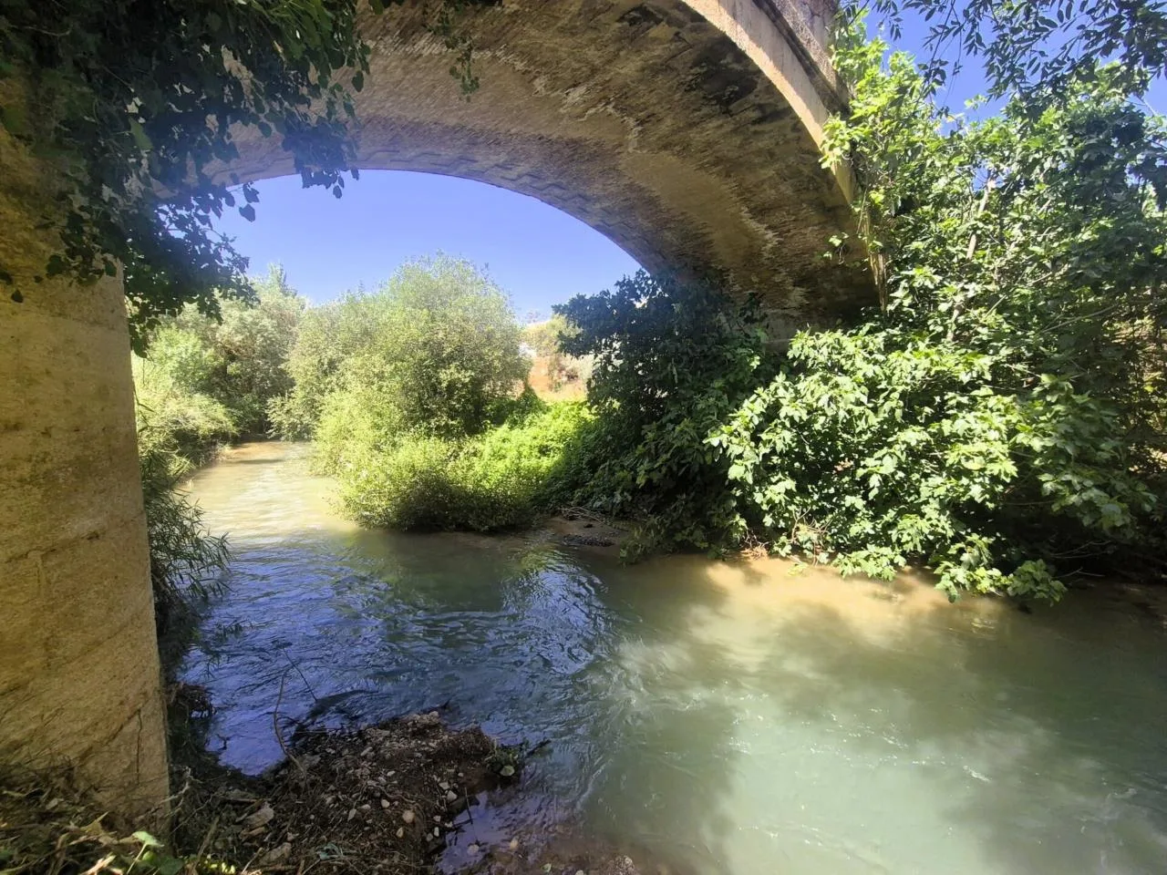 Erstklassiges 1.000 m² Wassergrundstück mit Obstbaumbestand in Loja