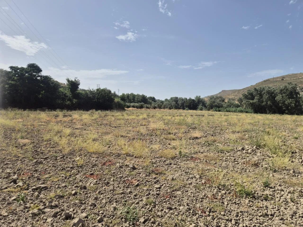Fruchtbares Ackerland mit Wasserrecht in Loja | 3.515 m² eben