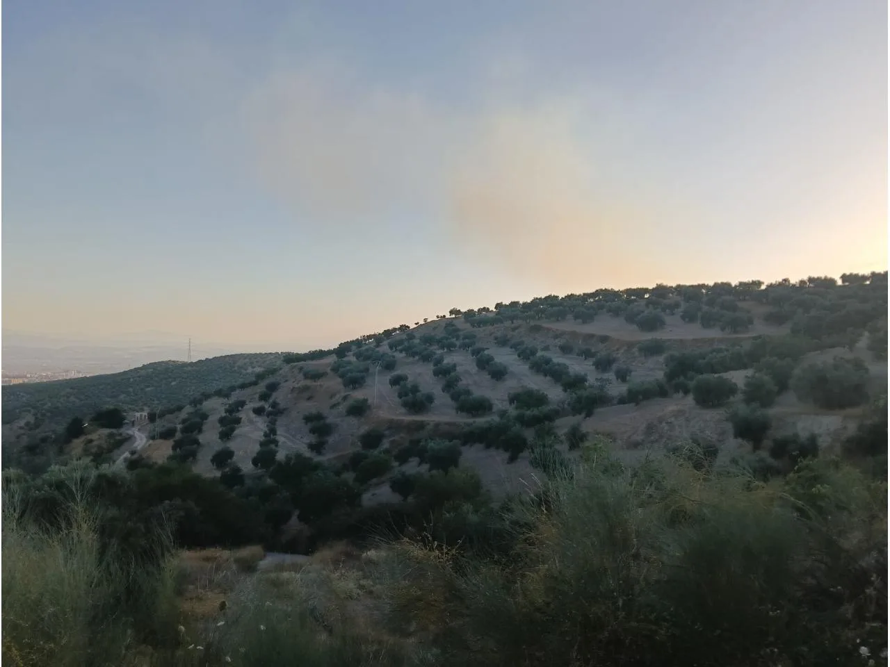 Exklusives Olivenhain-Grundstück mit Panoramablick in Alfacar