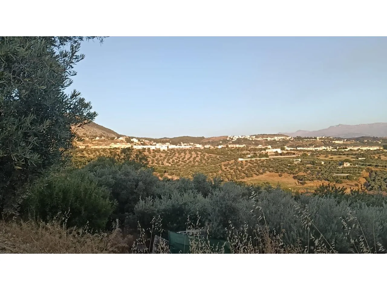 Exklusives Olivenhain-Naturgrundstück in Alfacar, Granada