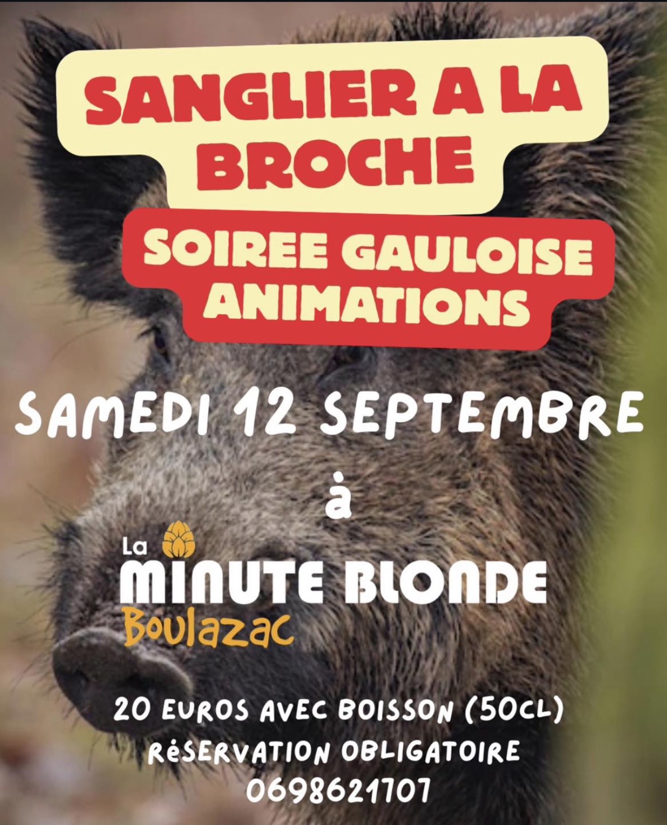 Sanglier à la broche / fête gauloise 