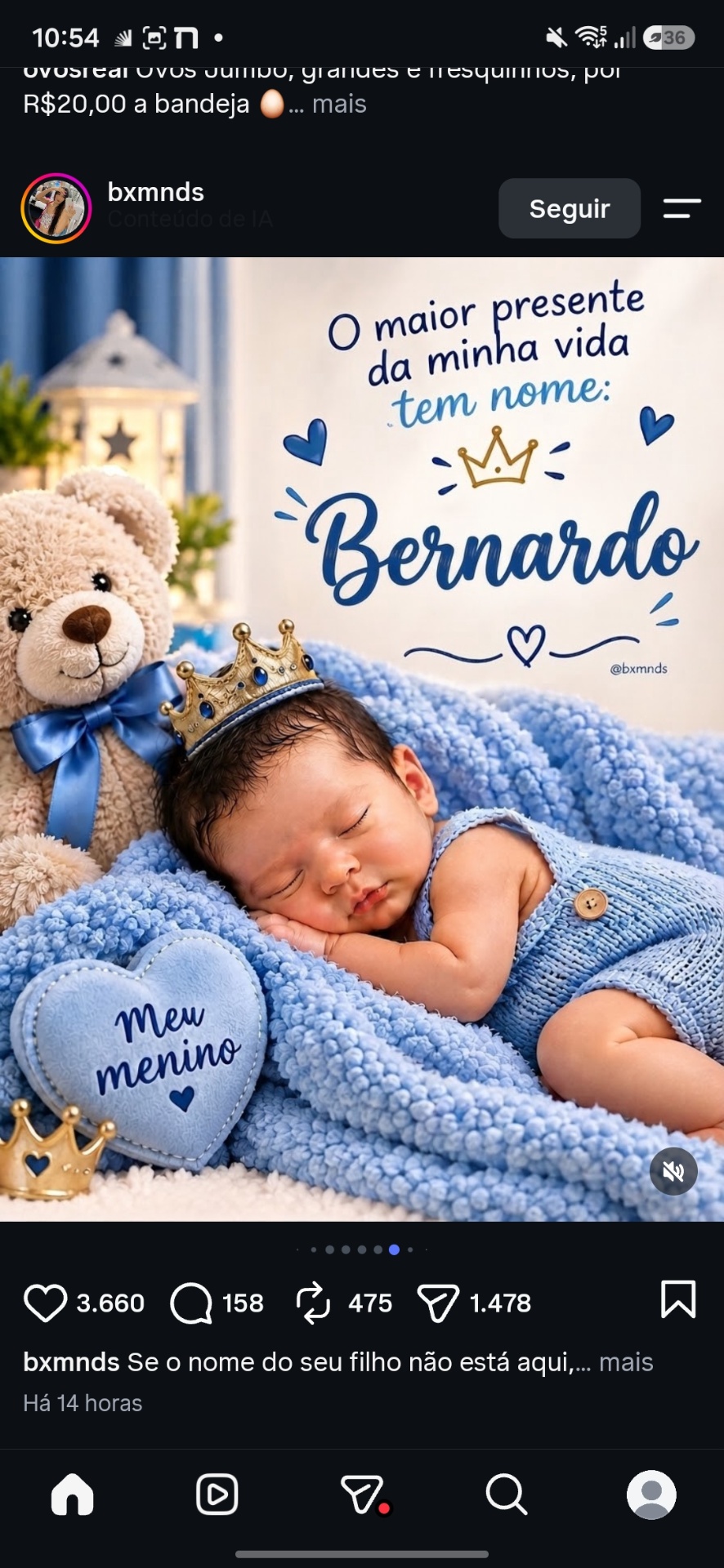 Bernardo