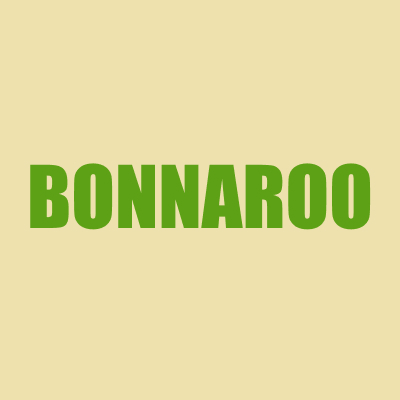 Bonnaroo Music Festival