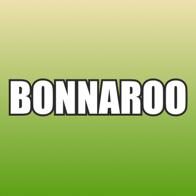 Bonnaroo Music Festival
