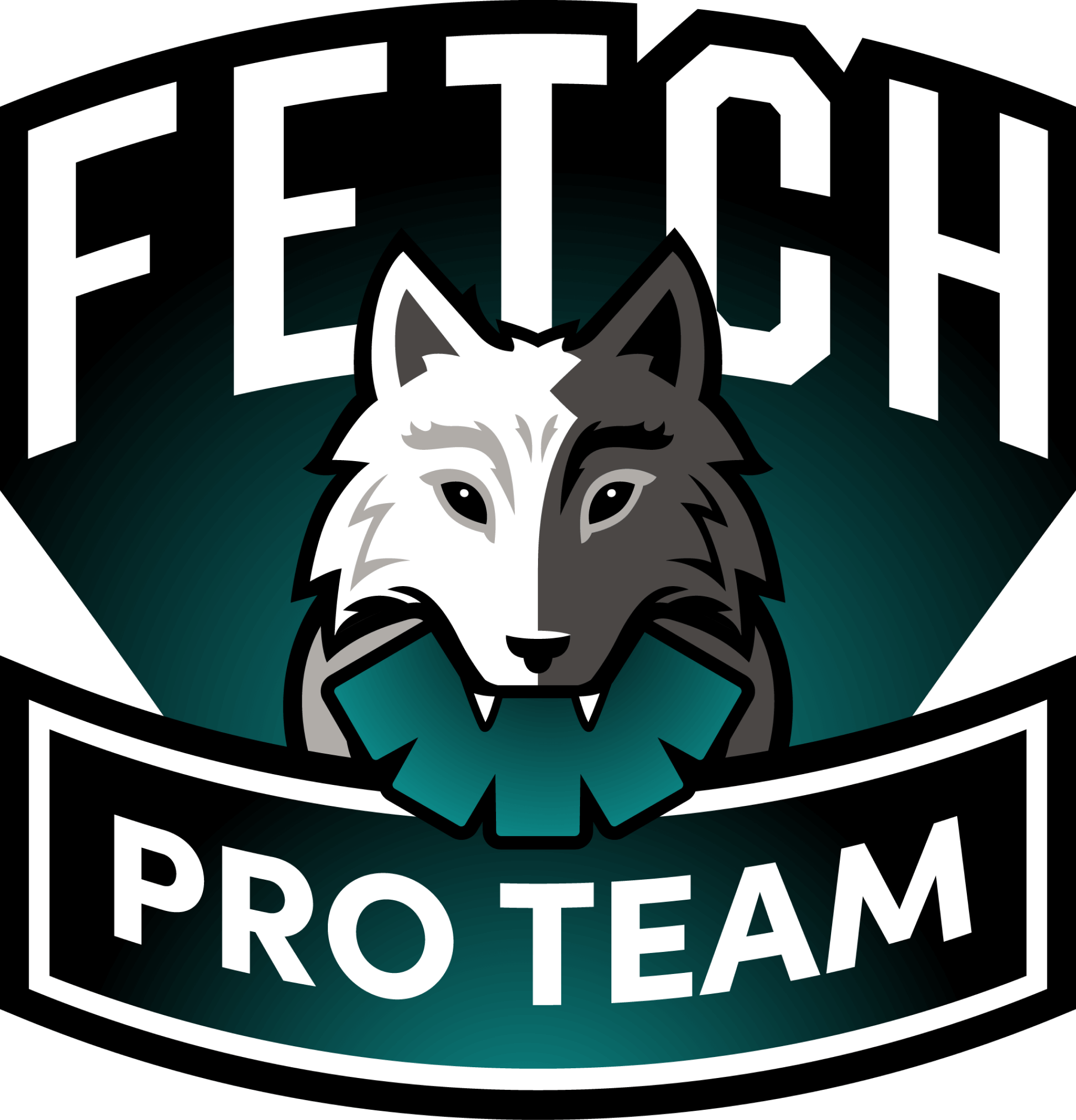 Pro Team