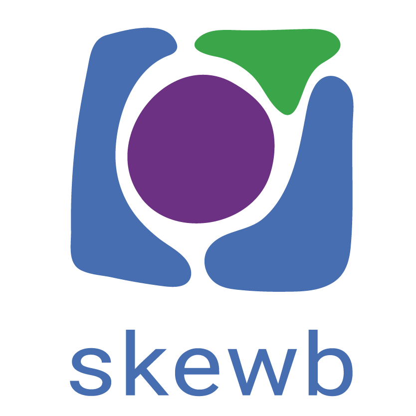 SKEWB LTD
