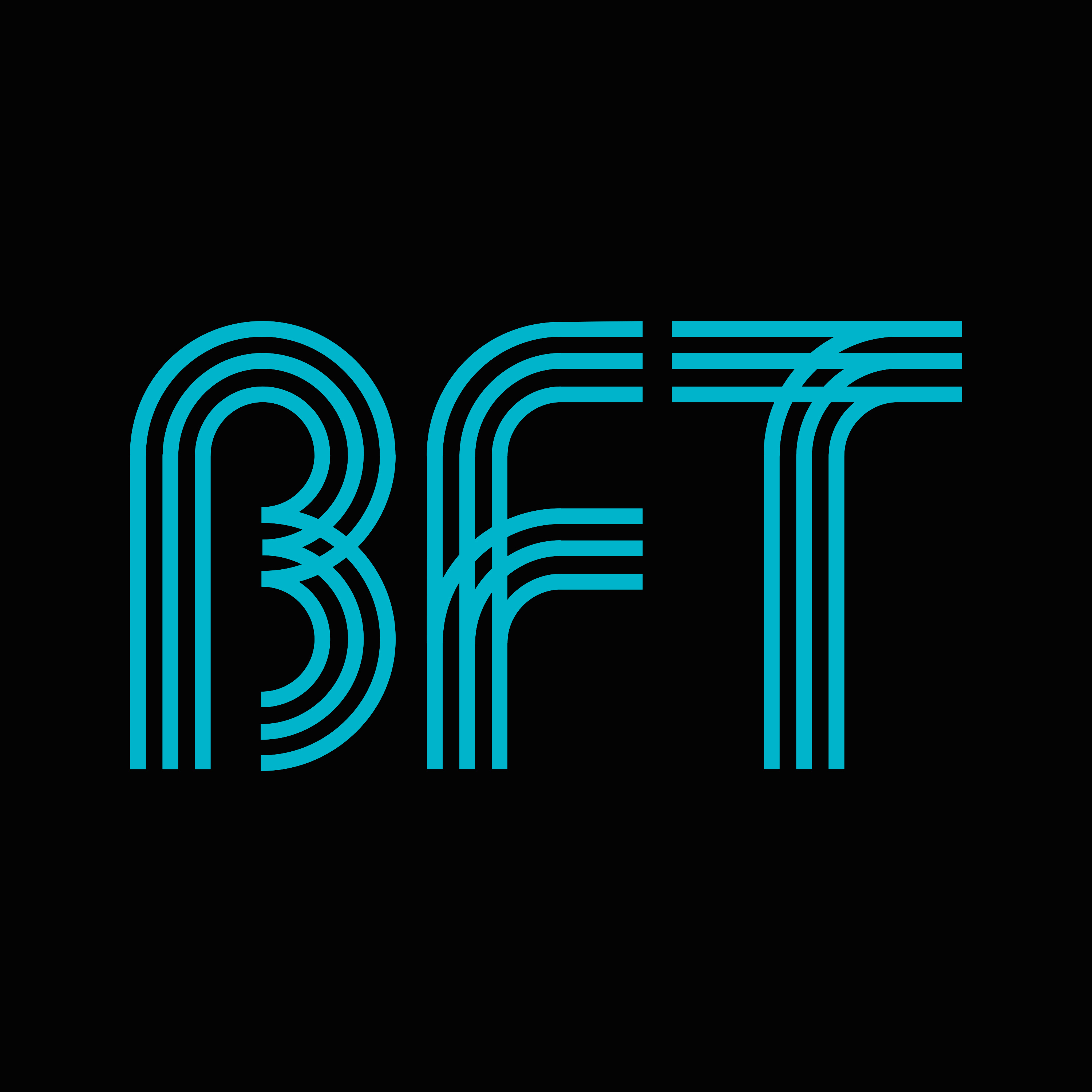 BFT (Body Fit Training)