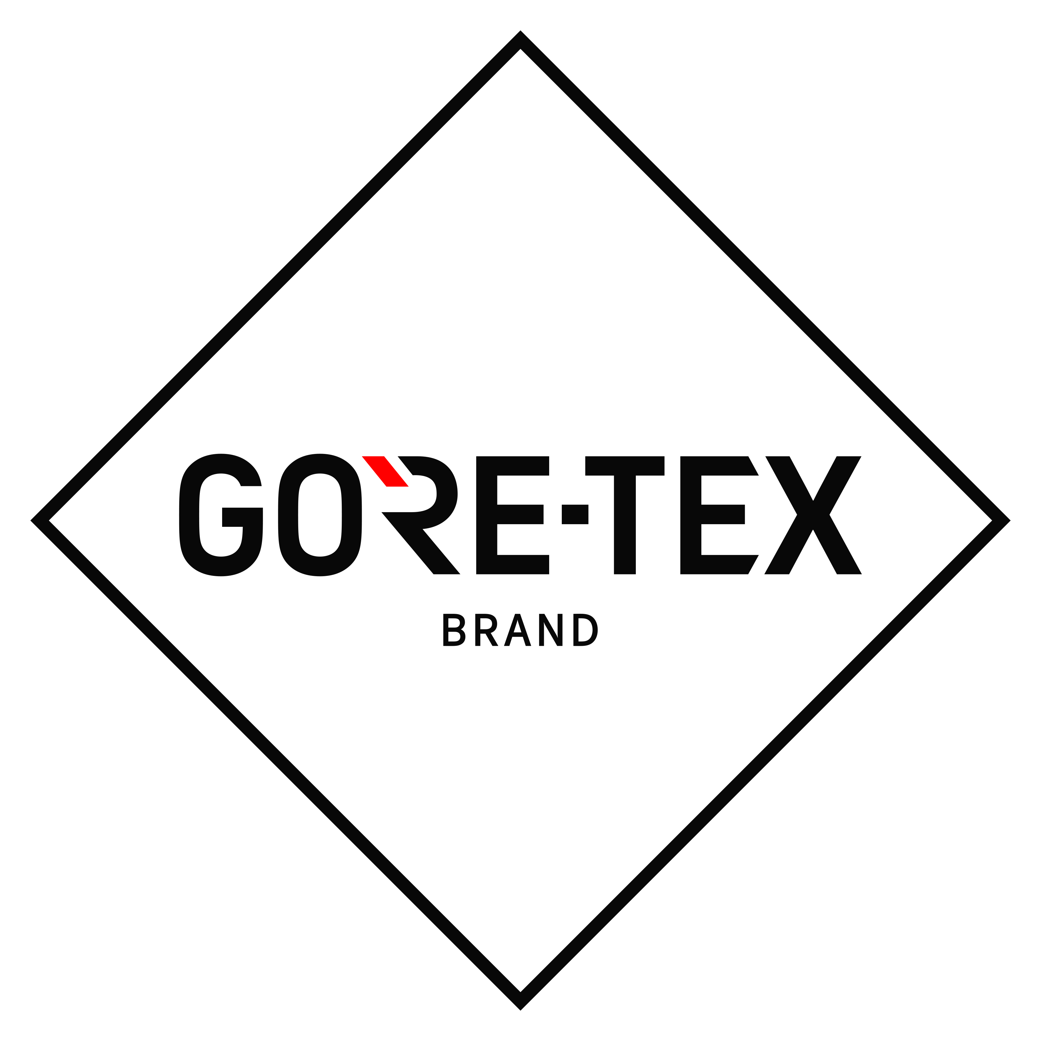 GORE-TEX Professional