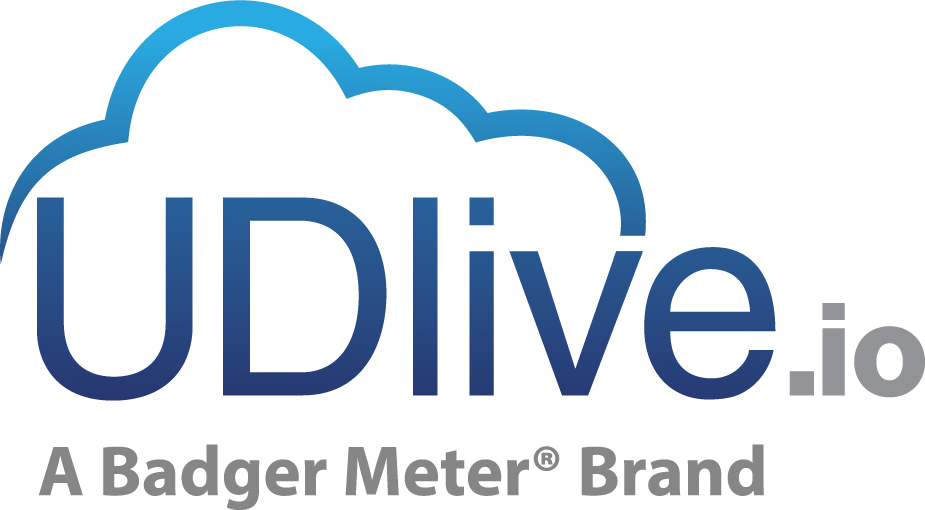 Company name - UDlive