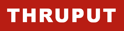 Thruput Ltd 