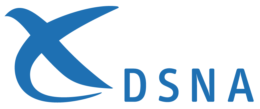 DSNA (Direction Des Services de la Navigation Aerienne)