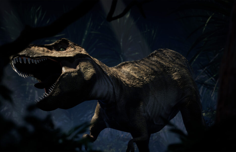 Dialling up the fun at a family attraction image 4