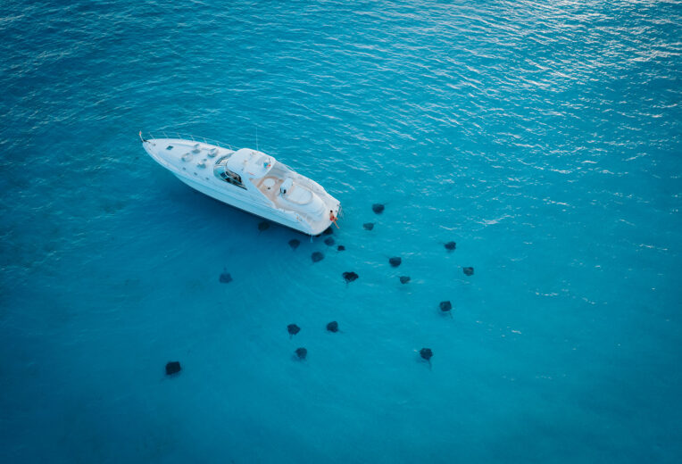 Exploring the Cayman Islands through augmented reality image 8