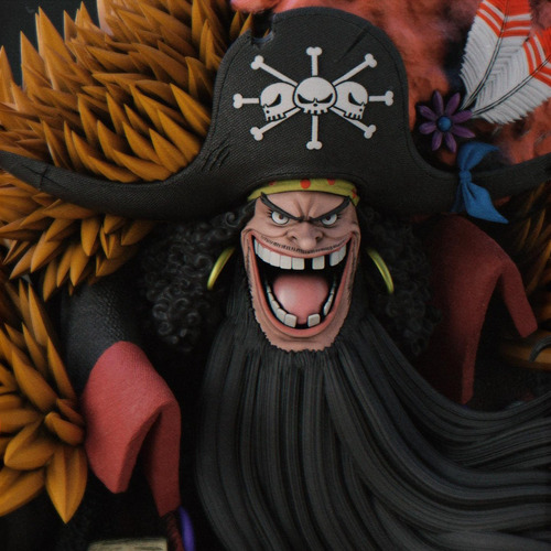 Barba Negra - One Piece - Mídia 6