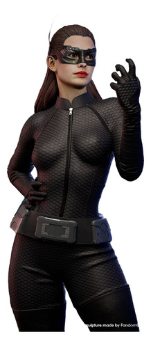 Catwoman Dc Batman Hq