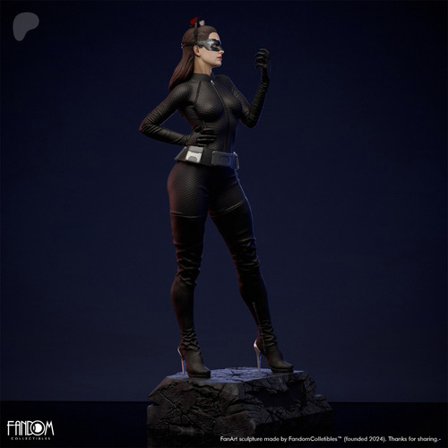 Catwoman Dc Batman Hq - Mídia 3