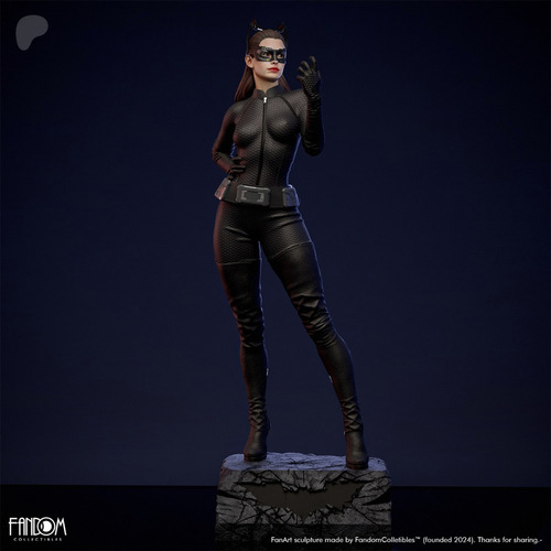 Catwoman Dc Batman Hq - Mídia 6