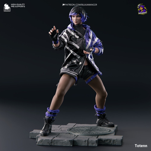 Reina Tekken Luta - Mídia 4