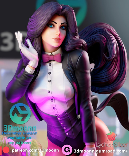 Zatanna Dc Comics Hq Liga Da Justiça - Mídia 2