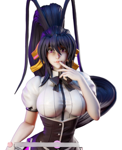 Akeno Himejima High School Dxd