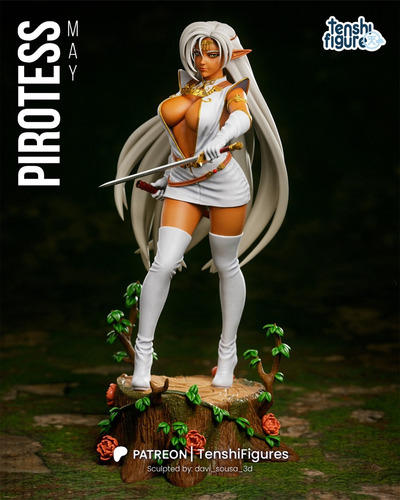 Pirotess Record Of Lodoss War Mangá - Mídia 5