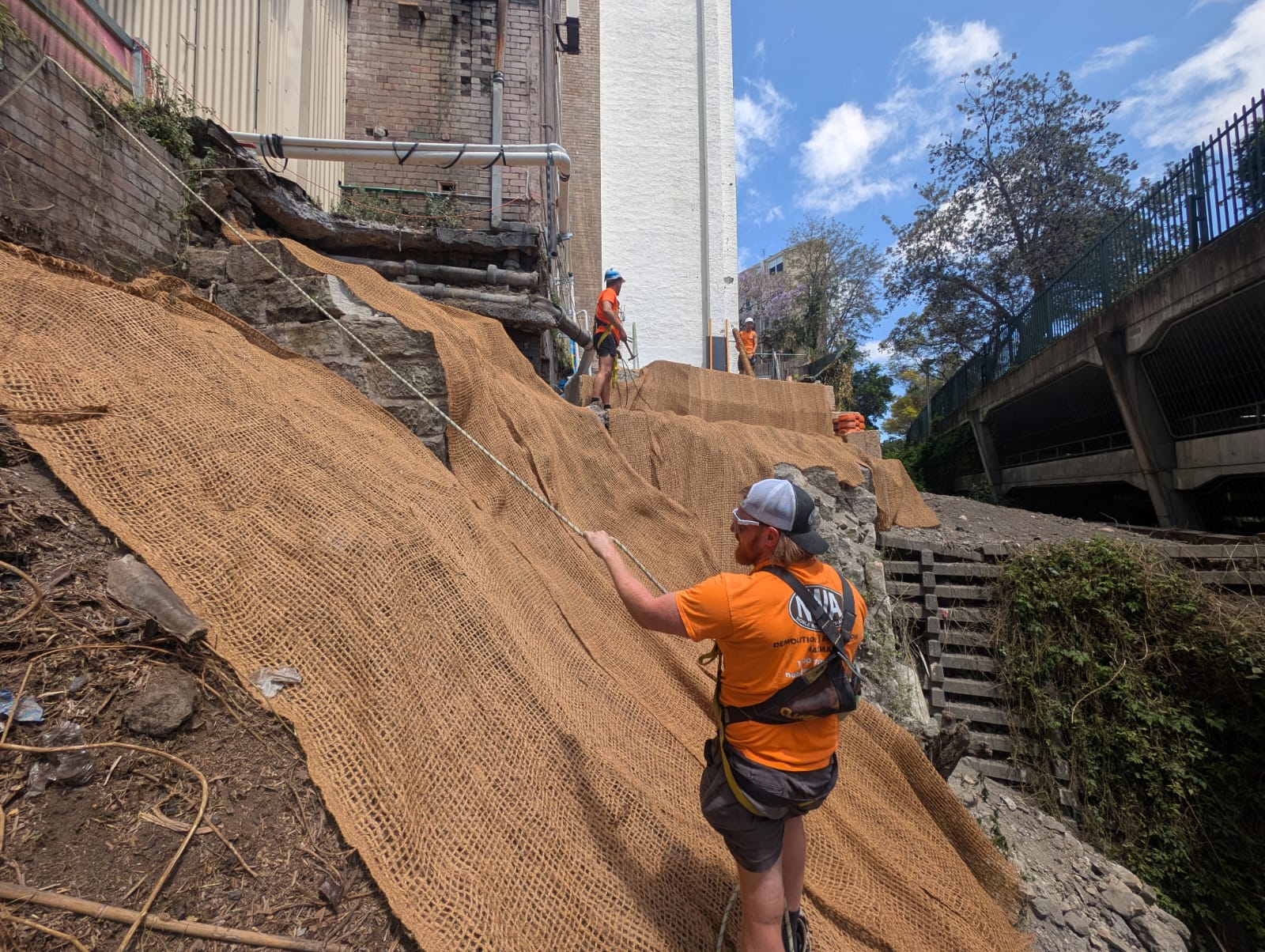 Wylde Street, Potts Point | Noble Works Australia