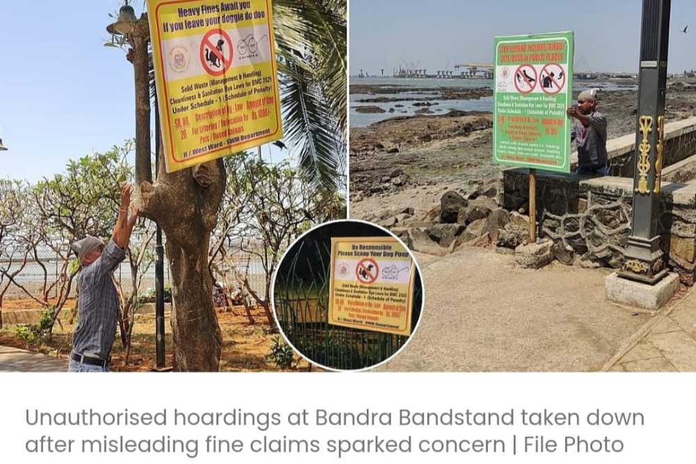 कार्यकर्ता की शिकायत के बाद बांद्रा बैंडस्टैंड पर पशुओं को दाना चुभोने वाले बीएमसी के अवैध होर्डिंग्स हटा दिए गए