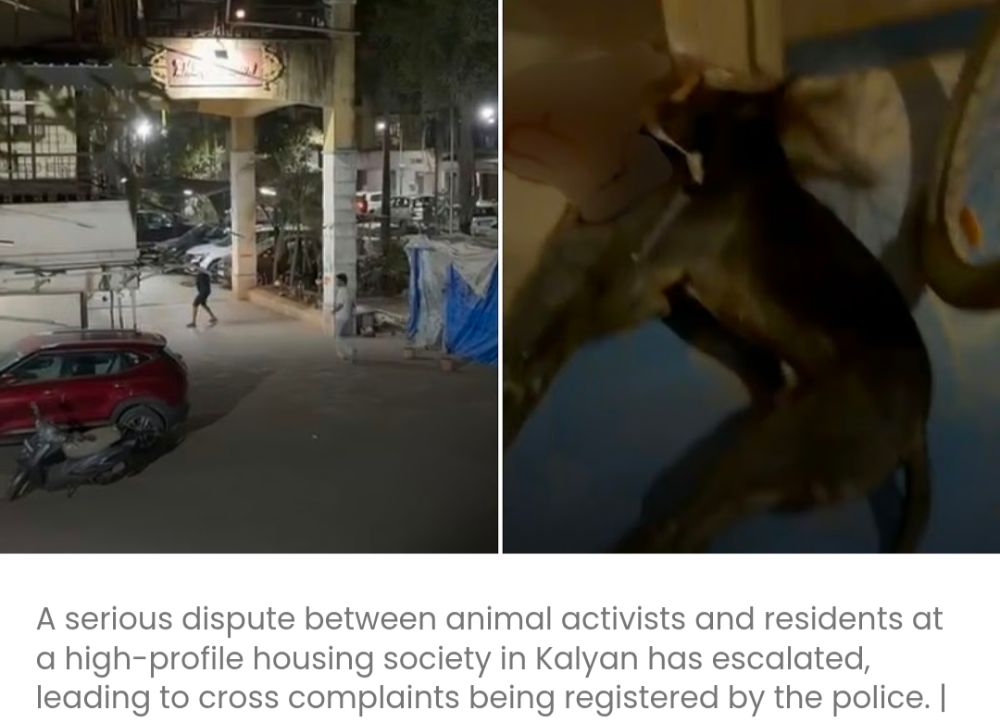 कार्यकर्ताओं पर जबरन वसूली का आरोप, आवारा कुत्ते को मारने के आरोप में निवासियों पर मामला दर्ज