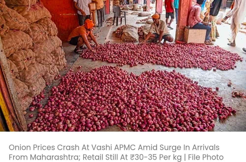 महाराष्ट्र से प्याज की आवक बढ़ने के कारण वाशी एपीएमसी में प्याज की कीमतों में भारी गिरावट आई है; खुदरा भाव अभी भी ₹30-35 प्रति किलो पर बना हुआ है।