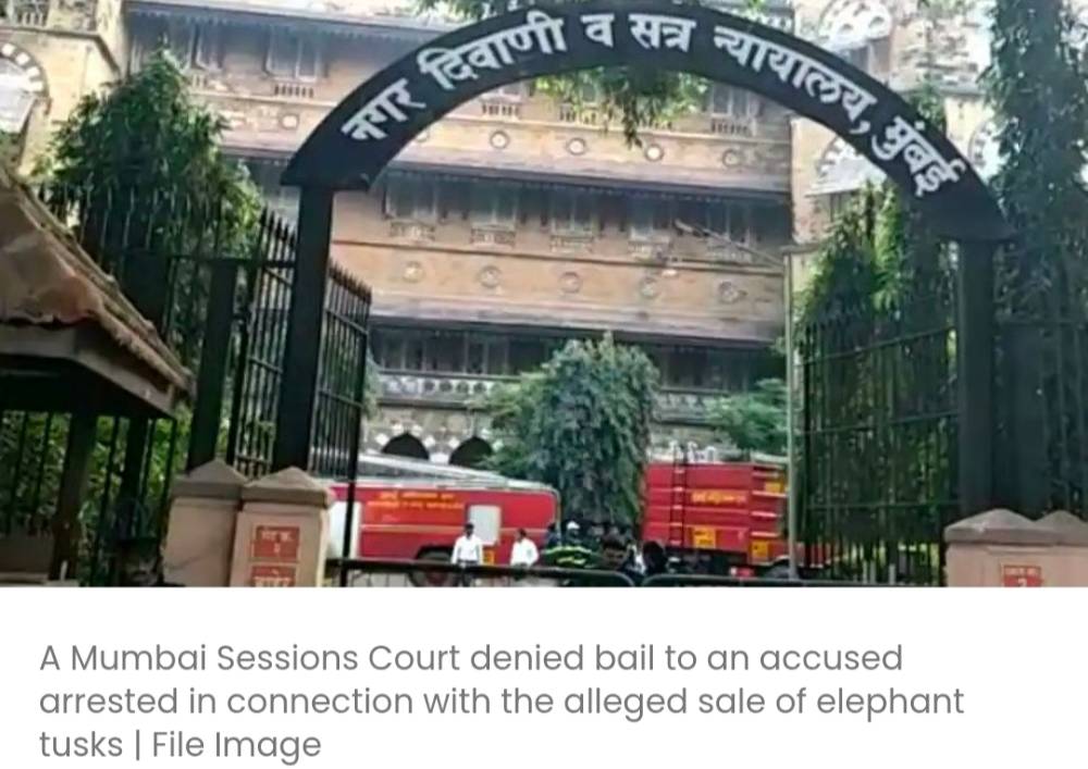 मुंबई सेशंस कोर्ट ने हाथी दांत की तस्करी के मामले में अंधेरी के रहने वाले व्यक्ति की ज़मानत अर्ज़ी खारिज कर दी