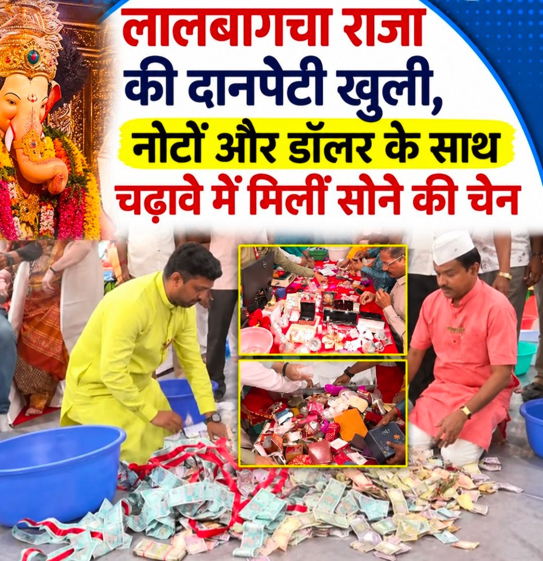 लालबागचा राजा: पहले दिन के चढ़ावे में मिले अमेरिकी डॉलर, सोने की चेन और लकड़ी का बल्ला, गिनती शुरू