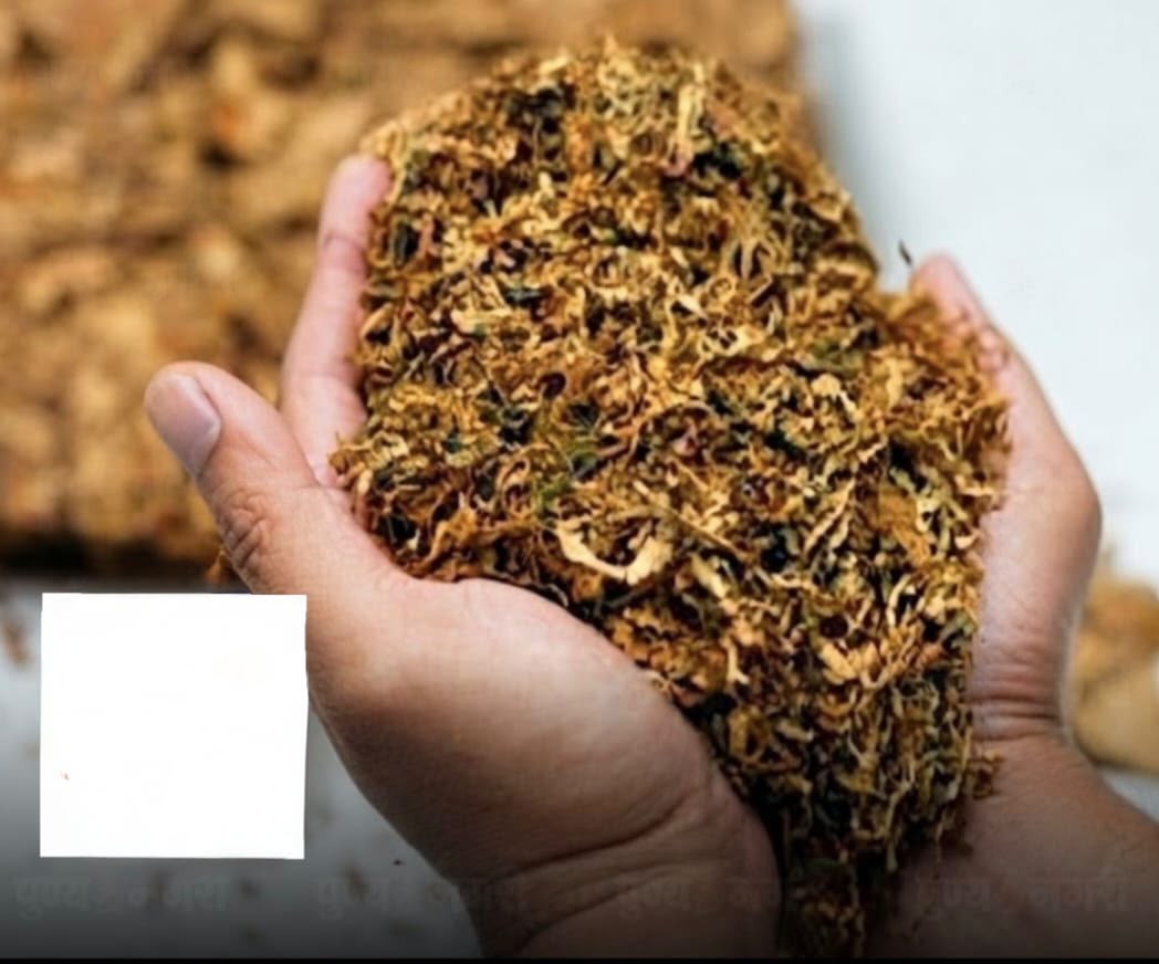 ठाणे और पालघर में FDA की बड़ी कार्रवाई: ₹2.69 करोड़ से अधिक का प्रतिबंधित गुटका और सुगंधित तंबाकू जब्त, 3 जगहों पर छापेमारी
