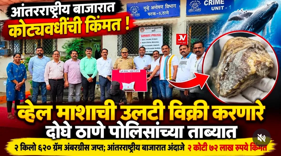 ठाणे पुलिस ने 2 करोड़ 72 लाख रुपये का एम्बरग्रीस (व्हेल मछली की उल्टी) जब्त किया, दो गिरफ्तार
