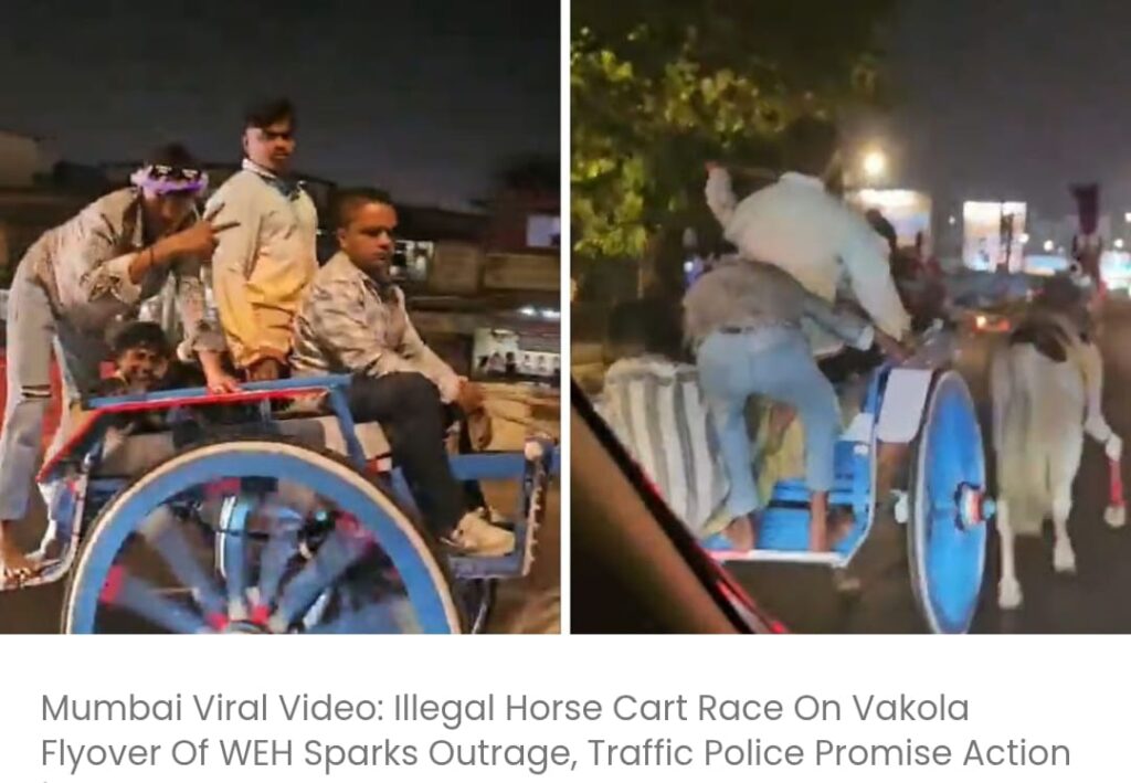 वेस्टर्न एक्सप्रेस हाईवे के वकोला फ्लाईओवर पर अवैध घोड़ागाड़ी दौड़ से मचे बवाल, यातायात पुलिस ने कार्रवाई का वादा किया