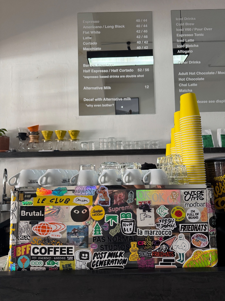 Ollies additional view 3