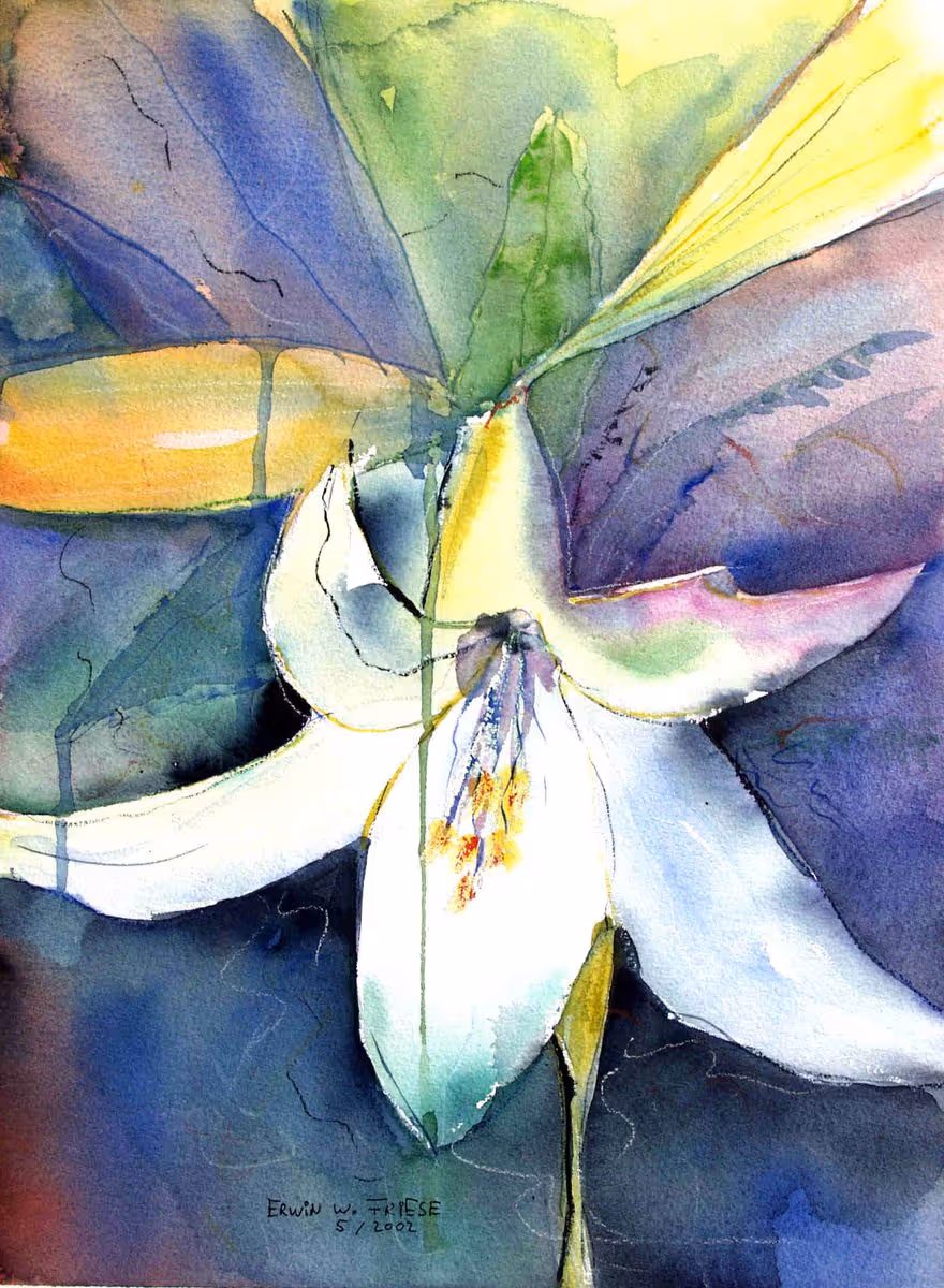 LilienBlüte