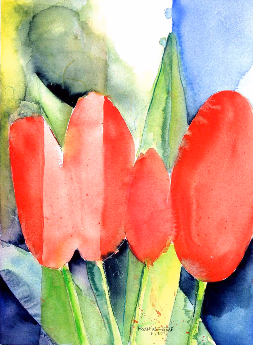 4Tulpen