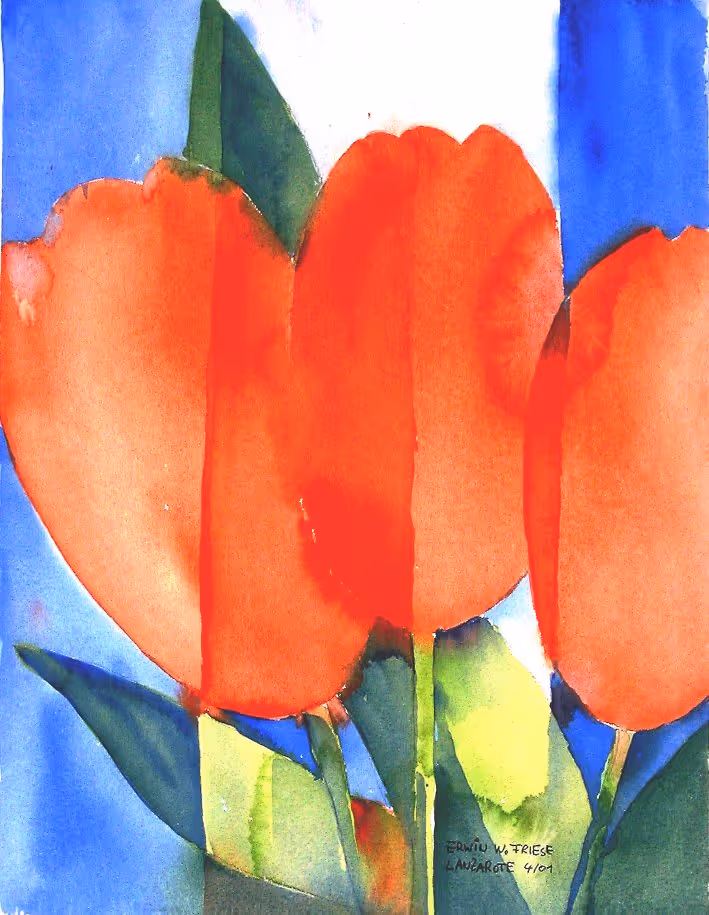 TulpenStreifen