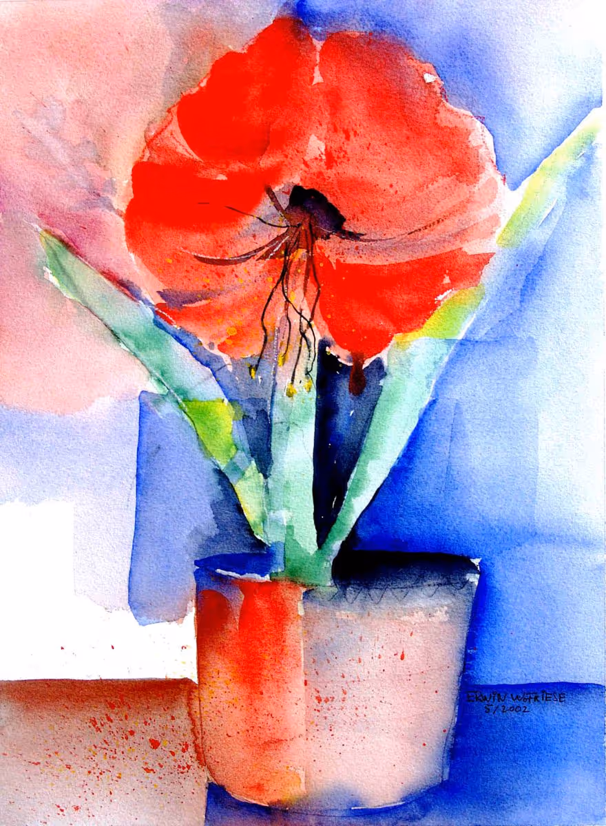 AmaryllisBlüte