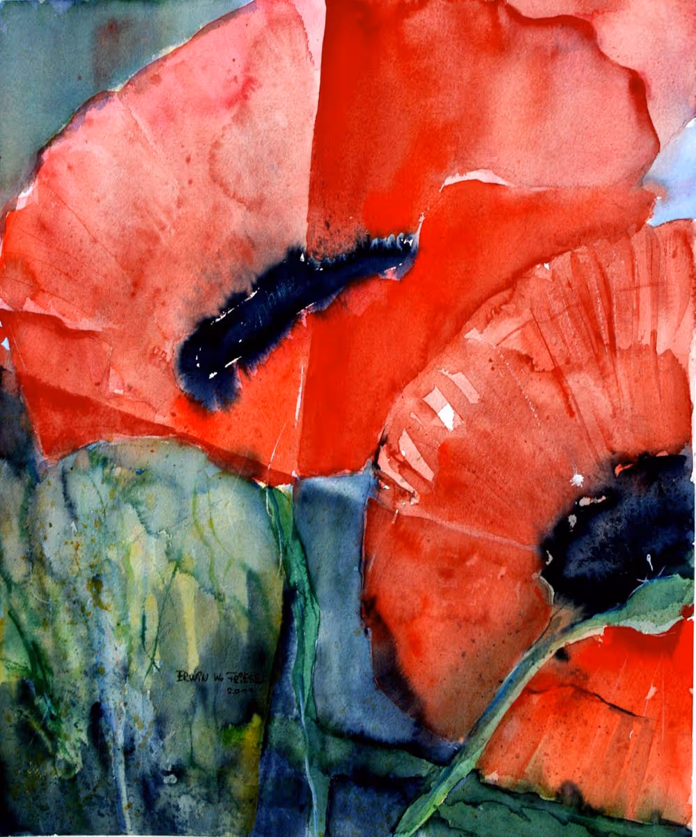 GroßerRoterMohn