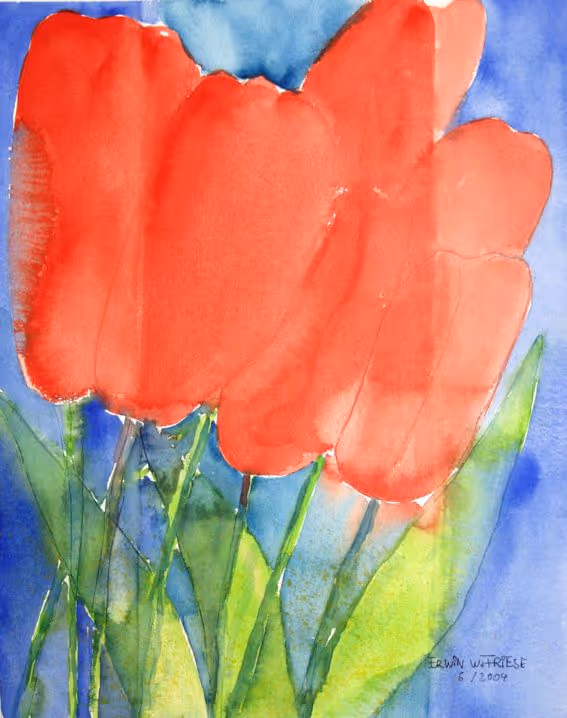 TulpenRot