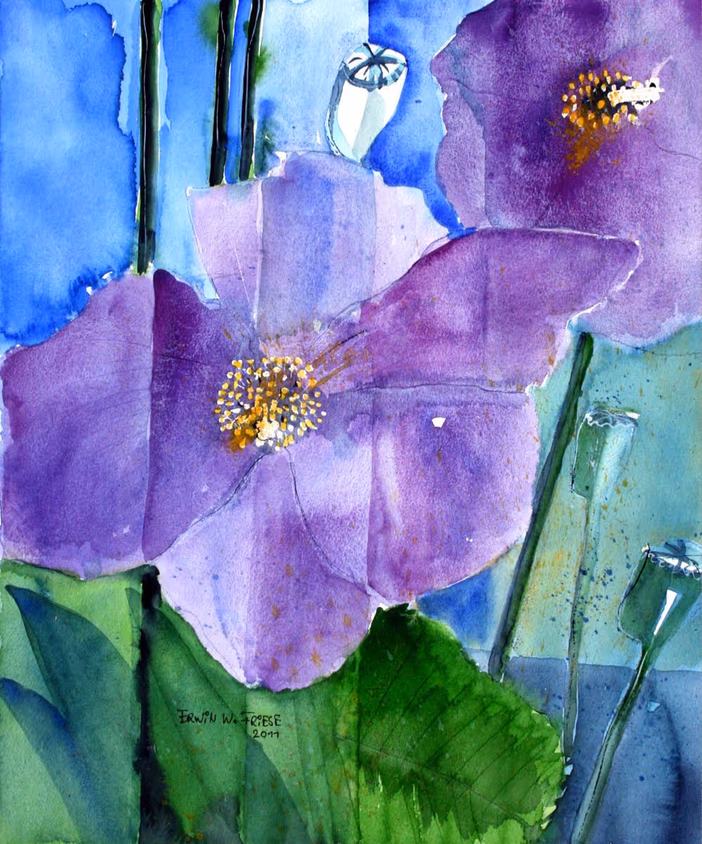 BlauerMohn